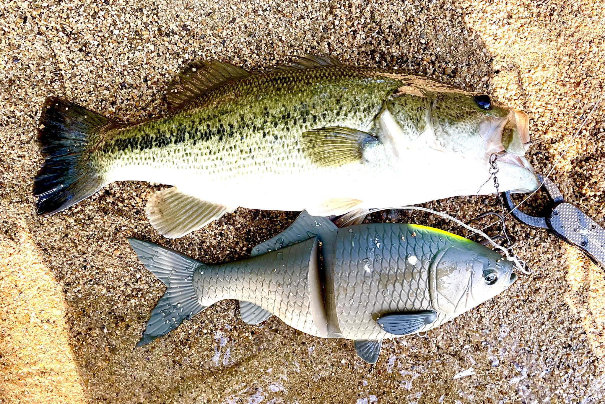 デプス 鮒重 2色セット deps FUNAJU デプス deps 鮒重 キンブナ