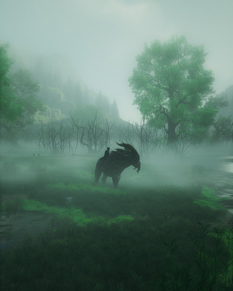 AggzGaming's tweet image. 🎮: Hogwarts Legacy
#HogwartsLegacy @HogwartsLegacy #VirtualPhotography