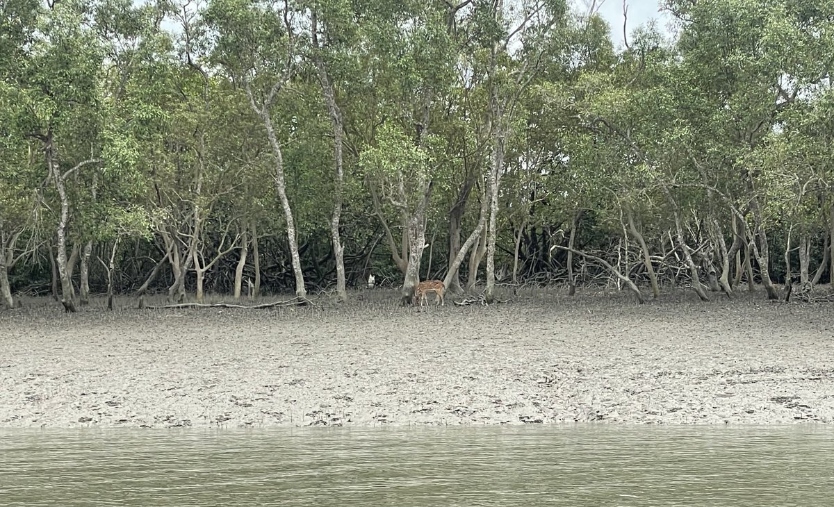 🌏 United by Nature, Divided by Borders
After 5 years in climate work, one truth is clear: South Asia can't fight the climate crisis alone. We need regional action, not isolated plans.
Read the op-ed:
👉 cansouthasia.net/united-by-natu…
#SouthAsia #ClimateJustice #SAARC