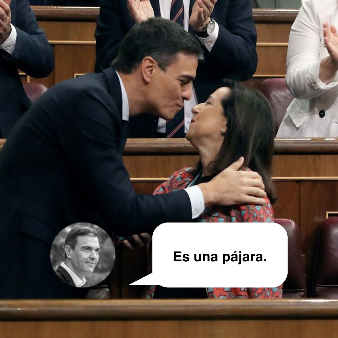 Partido Popular tweet media