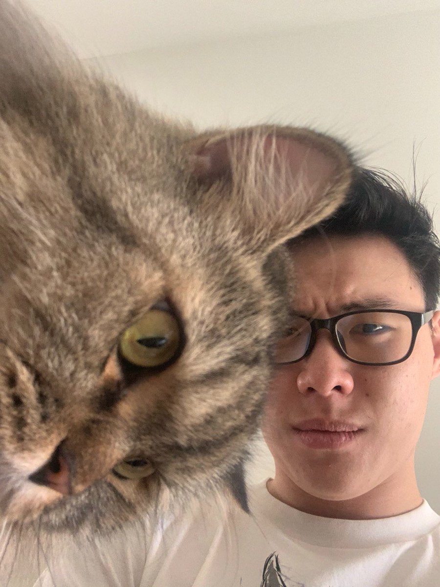 Benjamin Chan tweet media