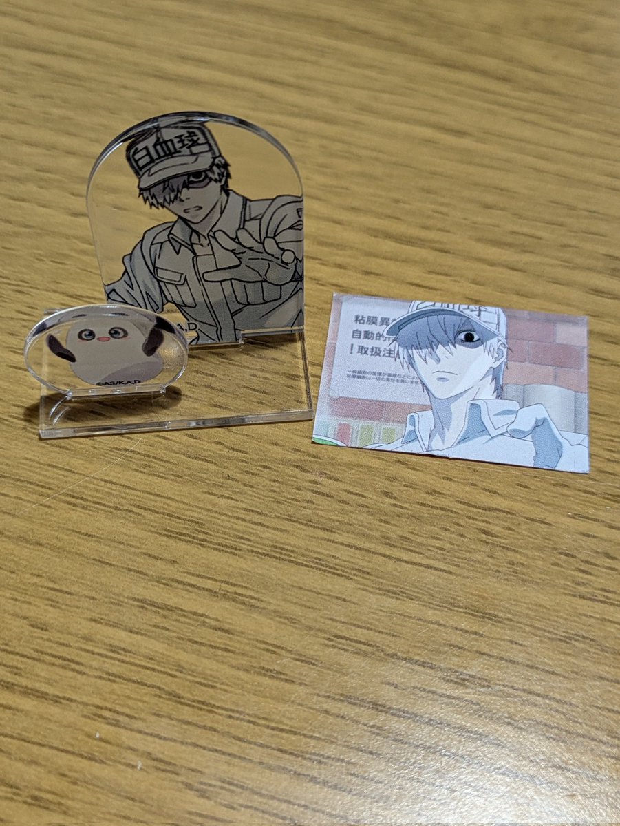 セブンに働く細胞チョコエッグあった！買ってみたらまさかの白血球さん来たー😍😍😍

 #チョコエッグ
 #はたらく細胞