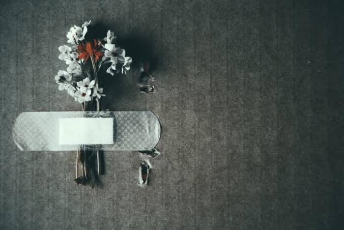 Ne diyor Şeyh Galip
"Bana kendi tali'imden bu siyah sitare düştü.."