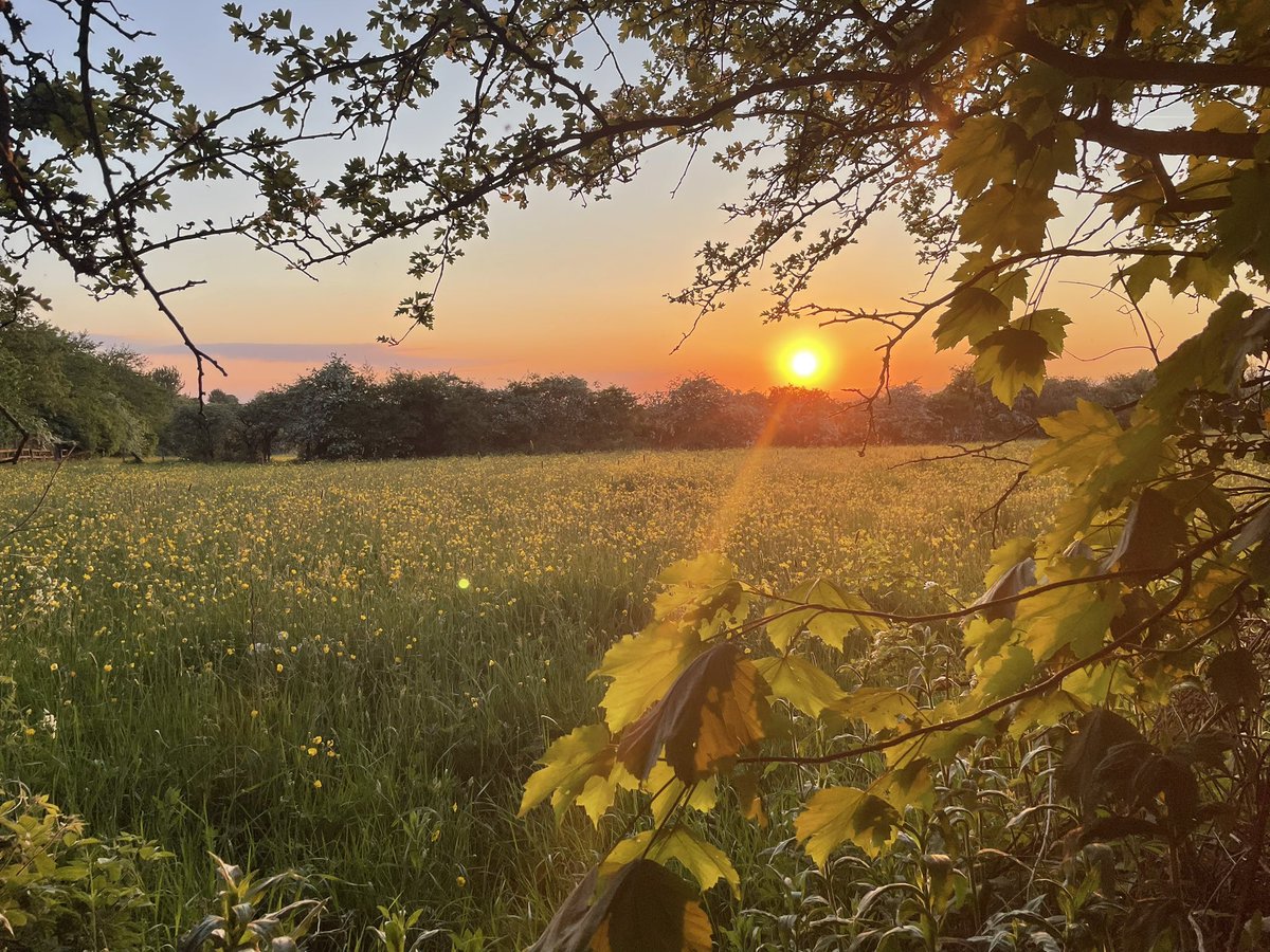 Last night’s sunset