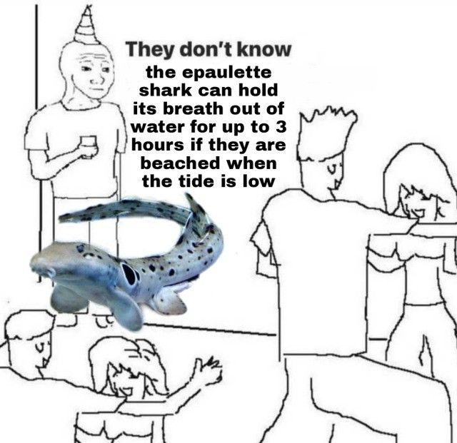 SharksEveryDayy's tweet photo. https://t.co/9O5bQuA7Yy