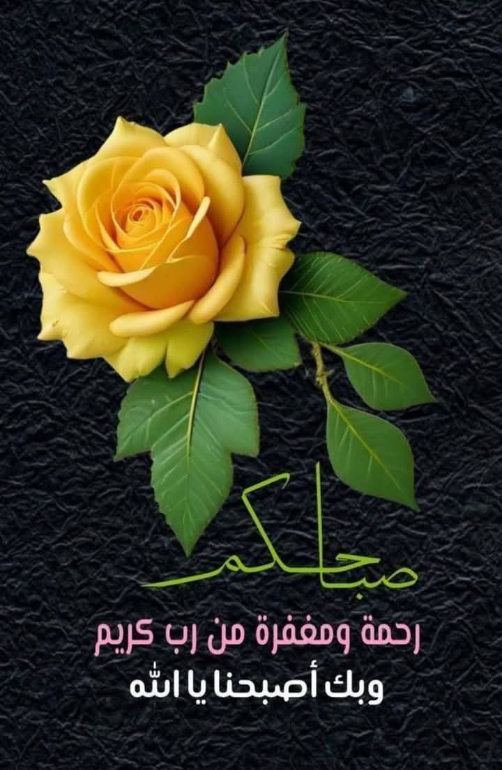 EngEm10's tweet image. صباح التوكل على الله