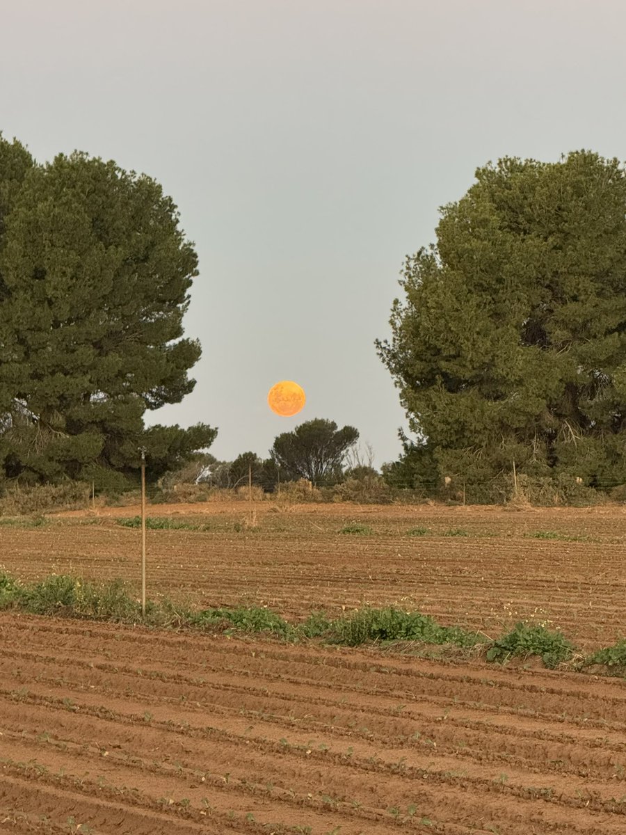 As artistic as I get