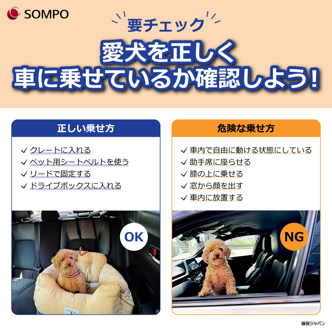 🐶今日は #愛犬の日 🐶
愛犬を車に正しく乗せる方法をご紹介！

運転中に愛犬を膝の上に乗せたり、窓から顔を出させたりしていませんか？
こうした行為は、道路交通法違反とみなされる場合があります⚠️