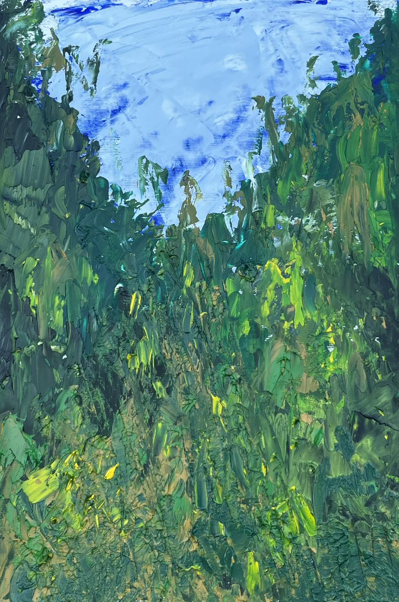 I just joined the <a href="/GreenpartyukRBX/">Offical Green Party of United Kingdom, ROBLOX</a> because I think Zack Polanski is right - the way to counter right wing populism is progressive populism. Needless to say I #BackZack (pic is called Shades of Green)