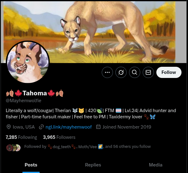 LYNX/QUICKIE ✏🛹 | ⋐ tweet media