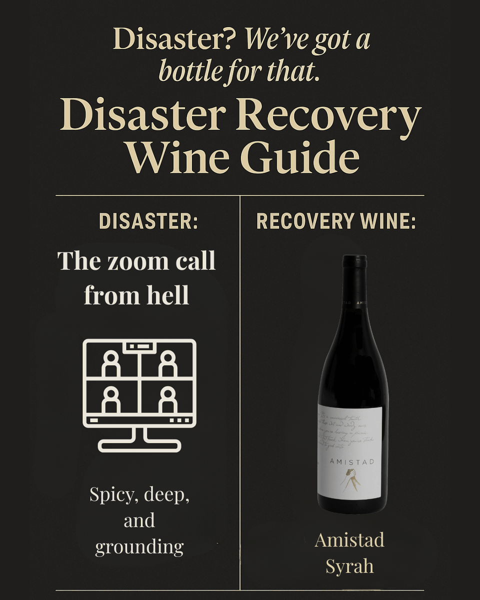 When the Zoom call should’ve been an email 💻🔊
Unwind after the chaos with a glass of Amistad Syrah. Deep, smooth, and guaranteed to silence the noise.

 #DisasterRecoveryGuide #WineTherapy #BadDayBetterWine #WineIsTheAnswer #RealLifeRealWine #BEVintners #KeepCalmAndWineOn