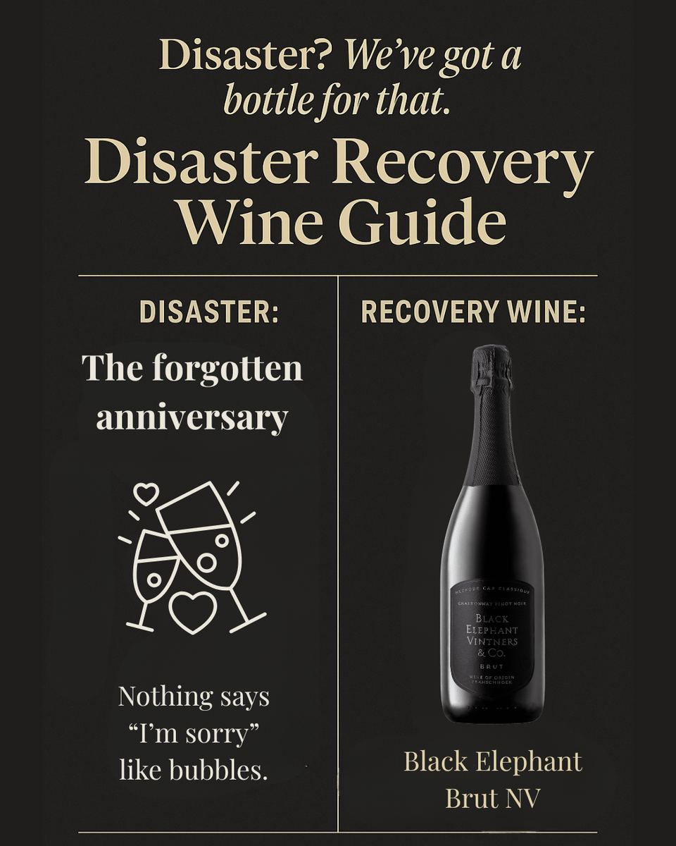 Forgot the anniversary? 😱
Pop open BEV MCC Brut. Nothing says "I’m sorry" like perfect bubbles. 💥🥂
Pro tip: pour generously and smile a lot.

 #WineForEveryDisaster #DisasterRecoveryGuide #WineNot #LifeHappensWineHelps #DrinkDifferent #BlackElephantVintners #UncorkAndUnwind