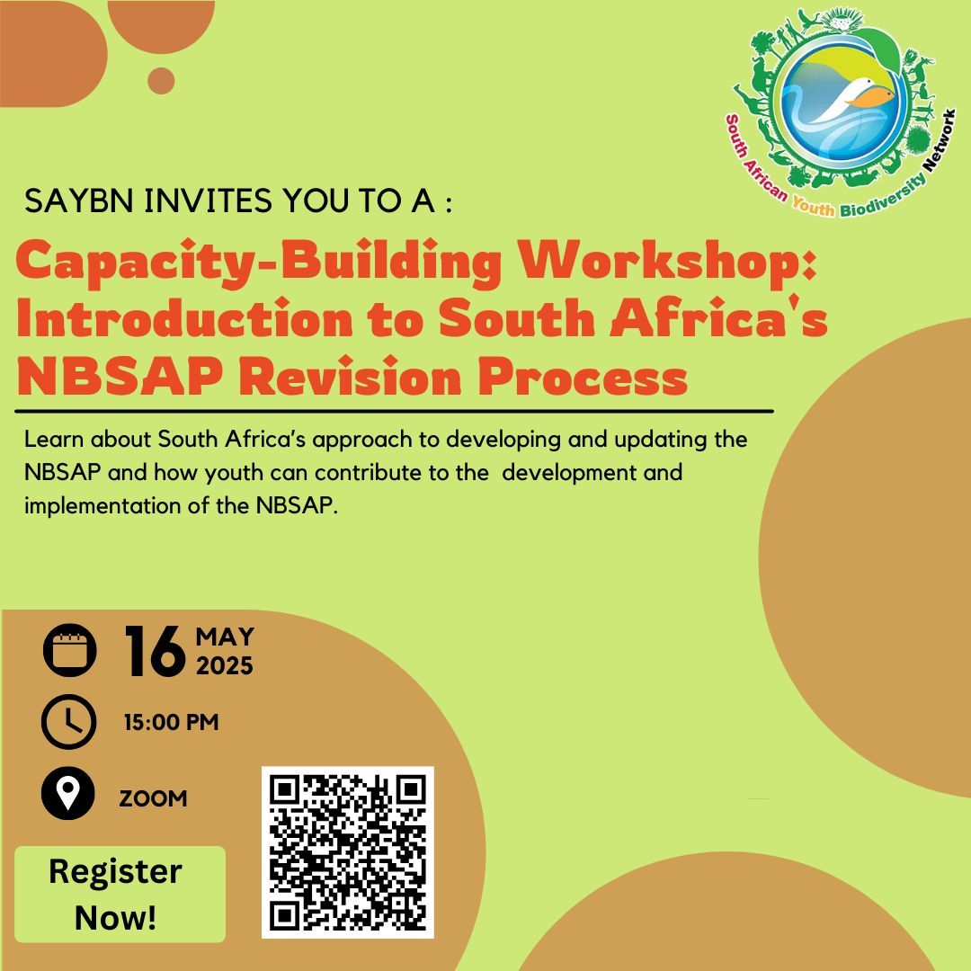 South African Youth Biodiversity Network (@saybn_cbd) on Twitter photo Join us this Fri, May 16 @ 3PM for our online workshop on NBSAP:
๐ฑ Intro to SAโs NBSAP Revision Process
๐ง Learn how NBSAPs work in South Africa
๐๐ฝโโ๏ธ See how youth are contributing
๐ Zoom: us06web.zoom.us/j/85403275698?โฆ
๐ Passcode: 472368
#YouthForNature #NBSAP #Biodiversity #SAYBN Join us this Fri, May 16 @ 3PM for our online workshop on NBSAP:
๐ฑ Intro to SAโs NBSAP Revision Process
๐ง Learn how NBSAPs work in South Africa
๐๐ฝโโ๏ธ See how youth are contributing
๐ Zoom: us06web.zoom.us/j/85403275698?โฆ
๐ Passcode: 472368
#YouthForNature #NBSAP #Biodiversity #SAYBN