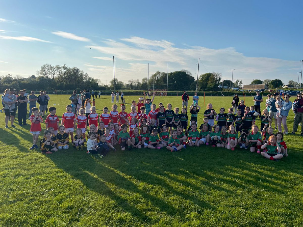 Longford GAA tweet media