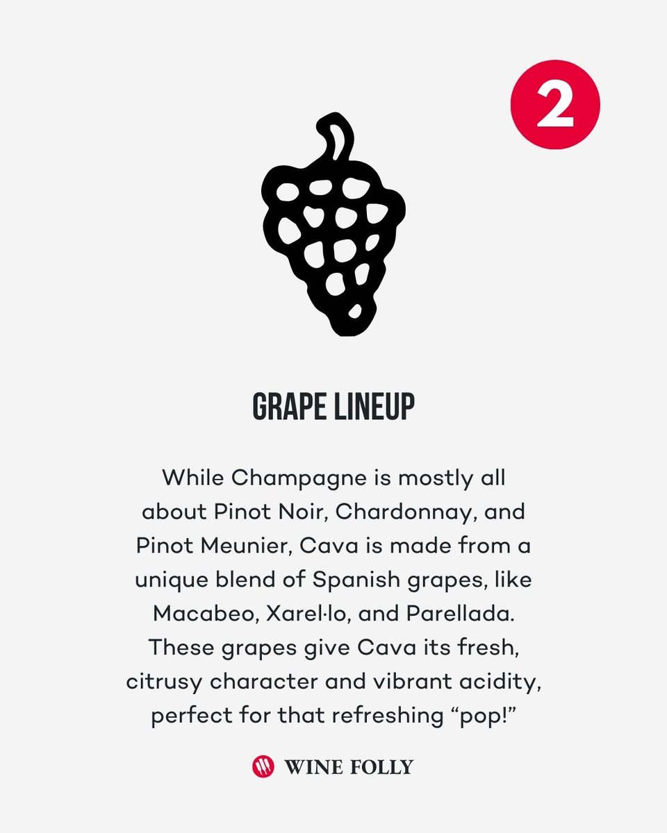 WineFolly's tweet image. Spain’s sparkling secret is made using a method very familiar to Champagne, but with a twist of its own. 🍾✨ 

🎯 Learn more at winefolly.com/wines/cava/

#Cava #SparklingWine #SpanishWine