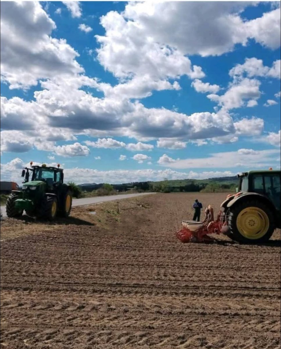 🌽 𝗠𝗮𝗶𝘇𝗲 𝗦𝗲𝗮𝘀𝗼𝗻 𝗦𝘁𝗮𝗿𝘁𝘀!

We’ve officially started sowing maize using the🚜

#MaizeSeason #SowingTime #FarmLife #PlantingSeason #FromSeedToHarvest #agriculture #creditvibesproject