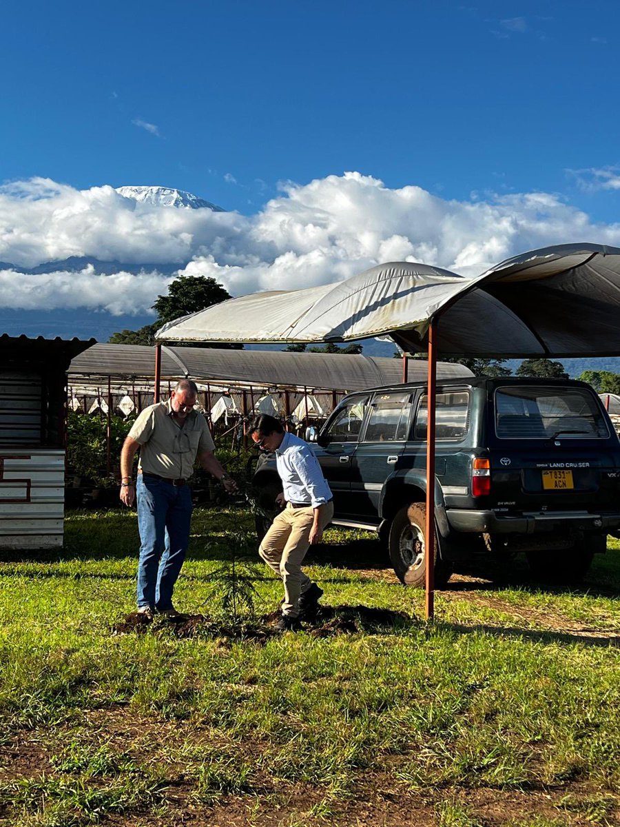 🌳 Celebrating International Day of Plant Health! 🌳 

#Healthy plants are vital for #food security and the environment. The Netherlands Embassy's agricultural counsellor planted trees with #KiboberryLtd and #EastWestSeed! Let’s protect plant health for a healthier planet. 🌍💚