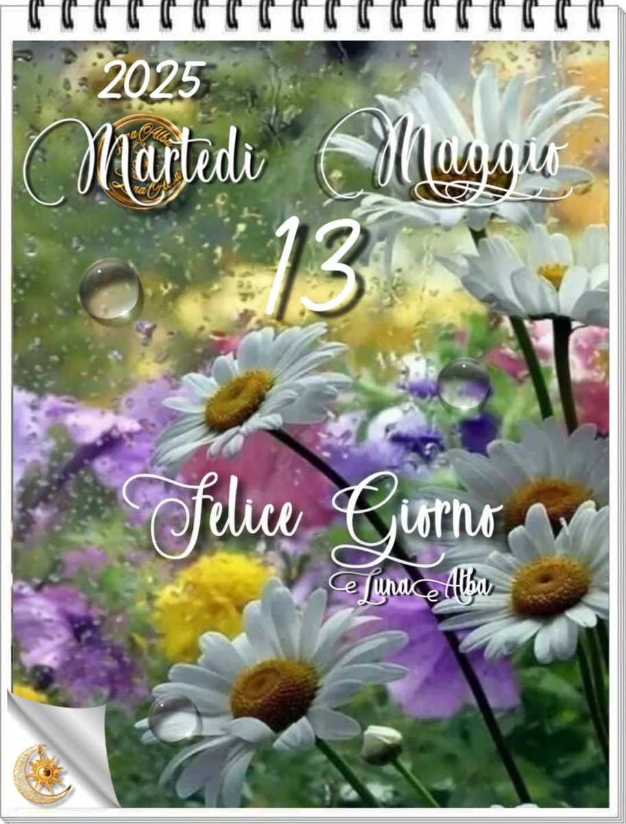 RITABIANCHi56 tweet media