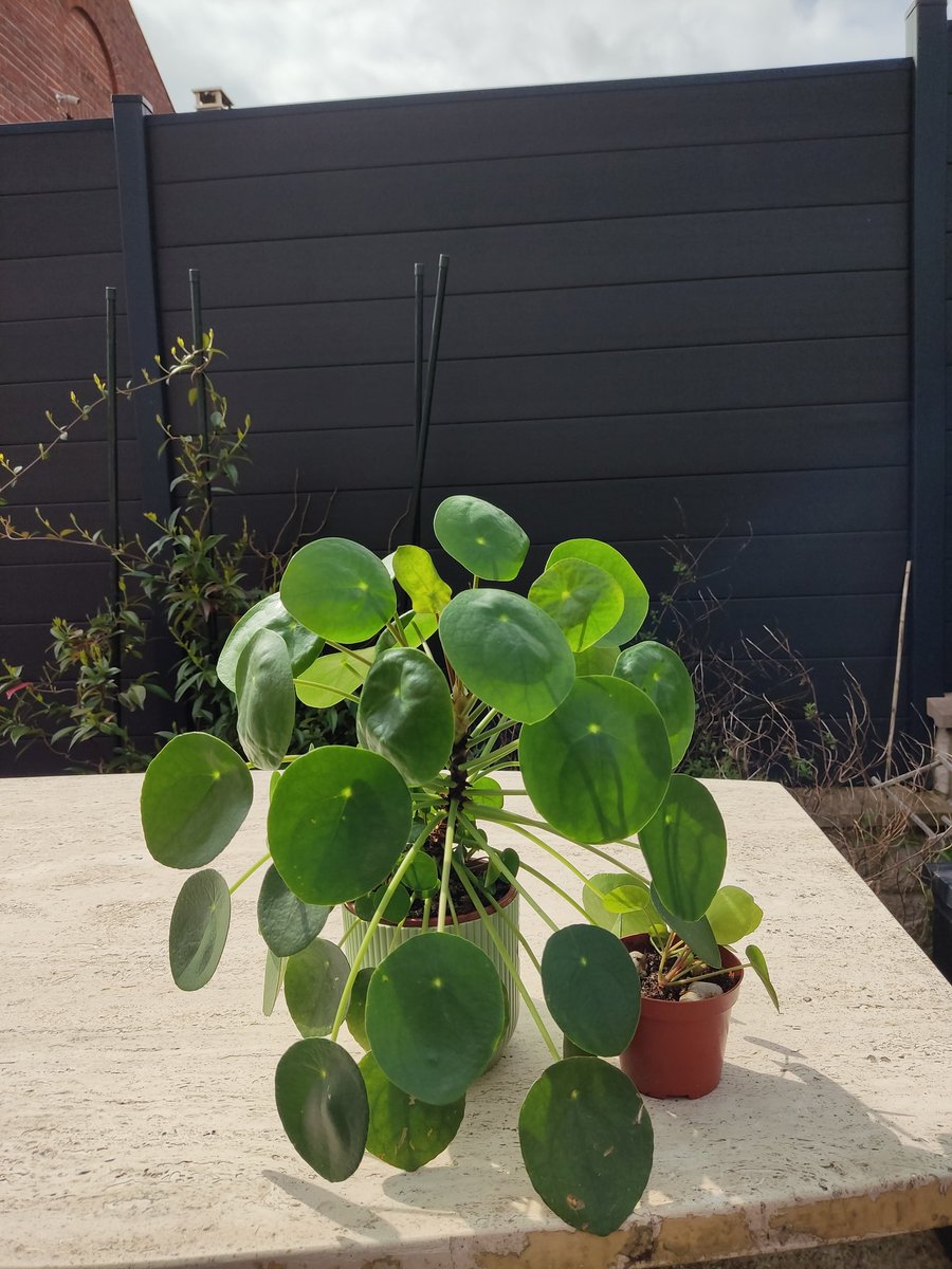 Primavera en París 🌞