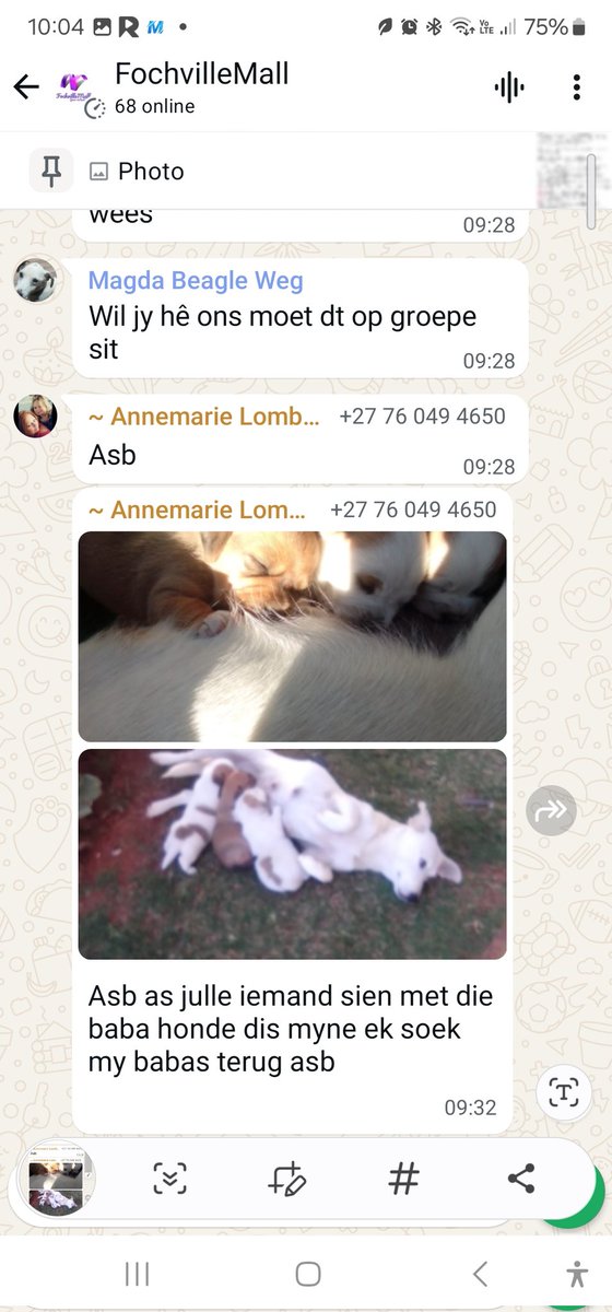 Wanda van der Merwe (@wmvdm) on Twitter photo 