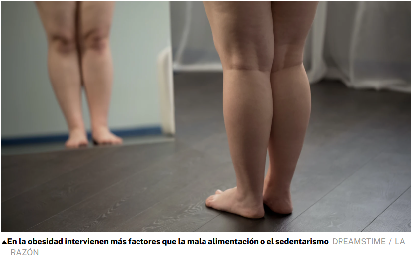 📊La #obesidad en España afecta a un 18 o 19% de adultos en España, mientras que el exceso de peso puede llegar hasta el 67% mientras que se registran "cifras importantes" en niños, con un incremento de la prevalencia hasta 2035🔜
 🗞️<a href="/larazon_es/">La Razón</a> se hace eco del 32º Congreso