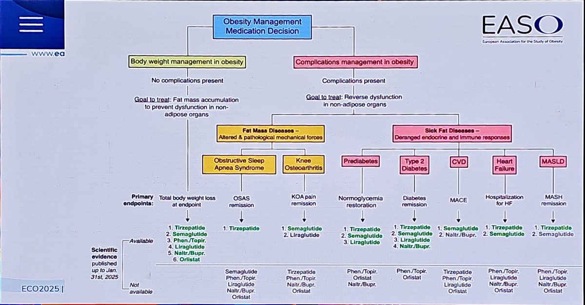 Nuevo algoritmo <a href="/EASOobesity/">EASO</a> para el abordaje de #obesidad
Presentación en #ECO2025 , momento histórico 
Tratamiento basado en objetivos y en la evidencia disponible (hasta 31/1/2025, solo RCT de más de 48 sem)