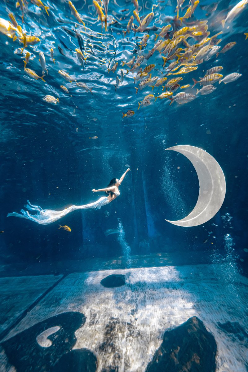 天生BTV 的潜水圣体 🤪