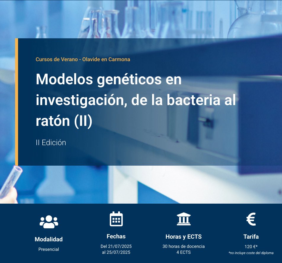 Los cursos de verano en <a href="/olavidecarmona/">Olavide en Carmona</a> son 🔝

Nuestras compañeras Ana Fernández Miñán, Sol Sotillos y Laura Tomás organizan el curso ‘Modelos genéticos en investigación, de la bacteria al ratón’ dividido en dos partes! 

Info ⤵️
upo.es/formacionperma…

upo.es/formacionperma…