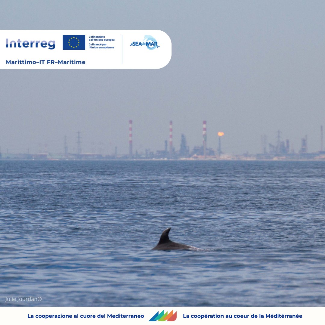 📢 Focus sui progetti 21-27 ! / Zoom sur les projets 21-27 !

🔍 SEAsteMAR
🔗interreg-marittimo.eu/fr/web/seastem…
💡 Seguici per scoprire tutti i progetti! / Suivez-nous pour découvrir tous les projets

#CohesionPolicy #Interreg
<a href="/RegioInterreg/">EU Regio Interreg</a>  <a href="/ARPALiguria/">ARPAL</a>