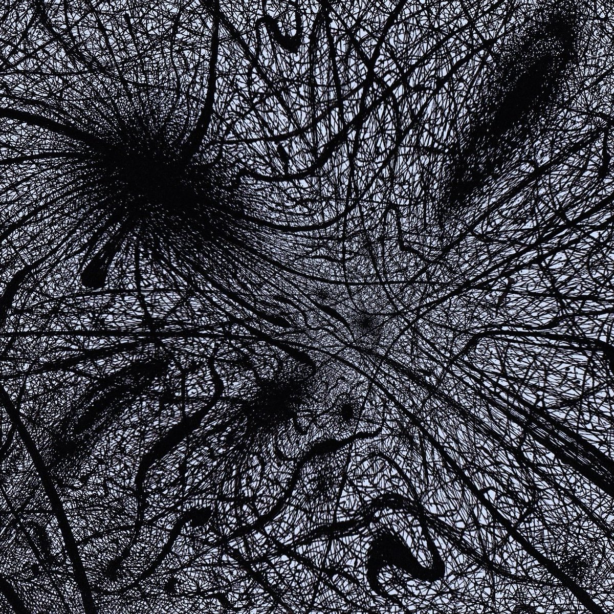 Friedrich W. Stumpfi tweet media