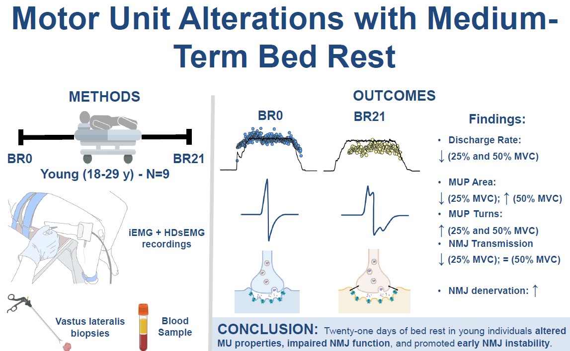 Fabio Sarto (@fabiosarto3) on Twitter photo 🚨 NEW FROM MY POSTDOC 🚨
Excited to share our latest study in <a href="/japplphysiol/">Journal of Applied Physiology</a>!
We explored how 21 days of bed rest 🛌 affect motor unit properties in young individuals, combining iEMG with HDsEMG💪
🔓 Open-access full text ⬇️
journals.physiology.org/doi/abs/10.115…
🧵1/8 🚨 NEW FROM MY POSTDOC 🚨
Excited to share our latest study in <a href="/japplphysiol/">Journal of Applied Physiology</a>!
We explored how 21 days of bed rest 🛌 affect motor unit properties in young individuals, combining iEMG with HDsEMG💪
🔓 Open-access full text ⬇️
journals.physiology.org/doi/abs/10.115…
🧵1/8