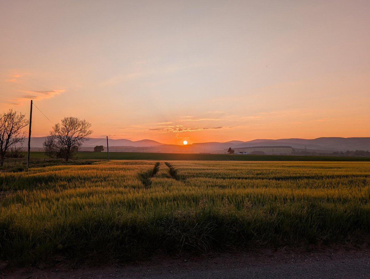 Sun setting over the #Mearns, just outside Fettercairn <a href="/visitabdn/">VisitAbdn</a> <a href="/Aberdeenshire/">Aberdeenshire Council</a>