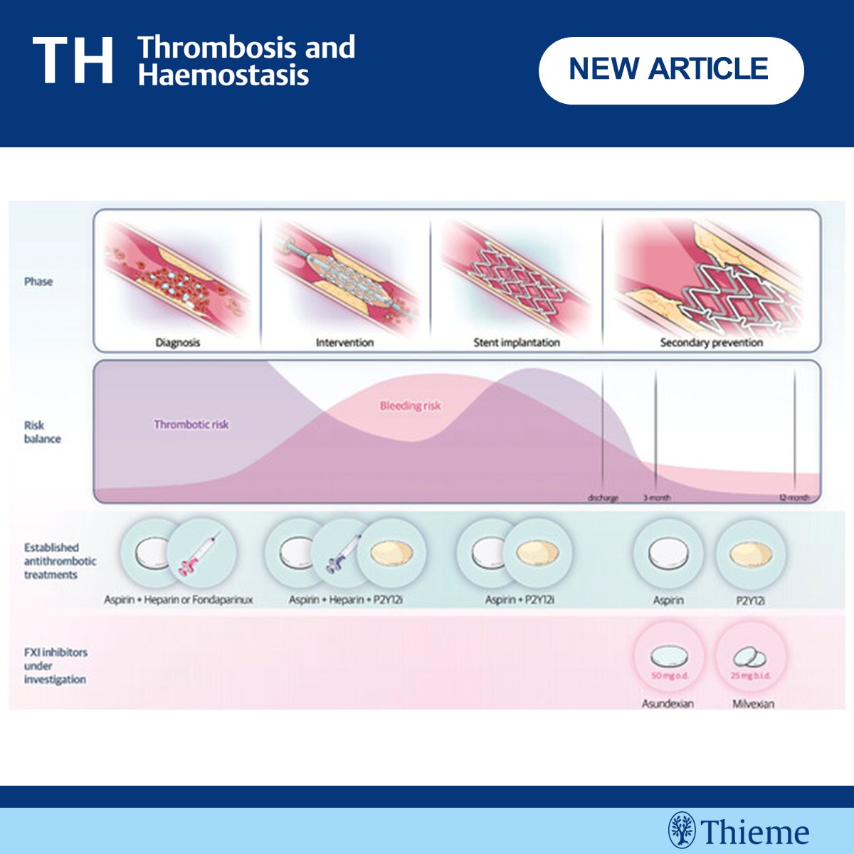 Thrombosis & Haemostasis, TH,TH Open (@th_journal) on Twitter photo 🚨 Factor XI Inhibitors for Myocardial Infarction: A Safer Path to Thrombotic Protection? ⬇️
📌 In this clinical focus, <a href="/marcospagnolo21/">Marco Spagnolo</a> and <a href="/DFCapodanno/">Davide Capodanno</a> review the potential role of FXI Inhibitors in pts with #MI
👉 thieme-connect.de/products/ejour…
Author's interview below ⬇️ 🚨 Factor XI Inhibitors for Myocardial Infarction: A Safer Path to Thrombotic Protection? ⬇️
📌 In this clinical focus, <a href="/marcospagnolo21/">Marco Spagnolo</a> and <a href="/DFCapodanno/">Davide Capodanno</a> review the potential role of FXI Inhibitors in pts with #MI
👉 thieme-connect.de/products/ejour…
Author's interview below ⬇️