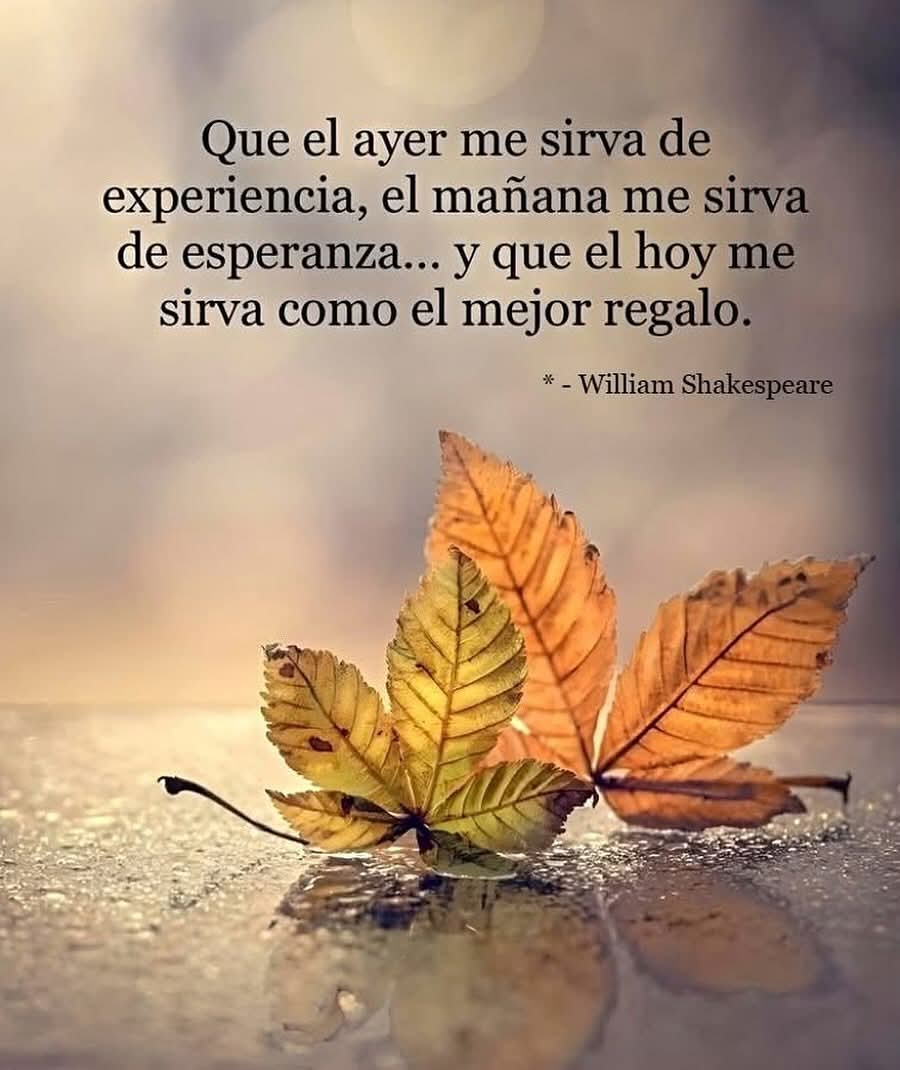 "Que el ayer me sirva de experiencia, el mañana me sirva de esperanza... y que hoy me sirva como el mejor regalo".
🍂