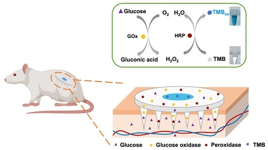Biosensors_MDPI's tweet image. 📣 Call for Reading:
#Article
Porous Colorimetric Microneedles for Minimally Invasive Rapid Glucose Sampling and Sensing in Skin Interstitial Fluid

by Tao Ma et al.
mdpi.com/2079-6374/13/5…

#porous #mironeedle #colorimetric #diabetes

@MDPIOpenAccess
@ChemMatSci_MDPI