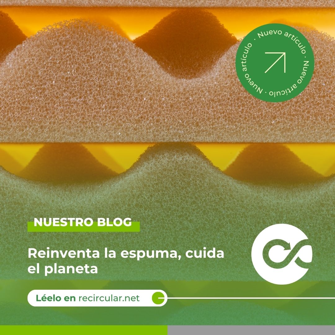 recircular (@recircular_net) on Twitter photo La espuma de poliuretano ya no es un residuo sin salida. De colchones a paneles de construcción o adhesivos, su reciclaje impulsa una economía más circular 🛏️🔁 recircular.net/blog/usos-de-l… #InnovaciónSostenible #EconomíaCircular La espuma de poliuretano ya no es un residuo sin salida. De colchones a paneles de construcción o adhesivos, su reciclaje impulsa una economía más circular 🛏️🔁 recircular.net/blog/usos-de-l… #InnovaciónSostenible #EconomíaCircular