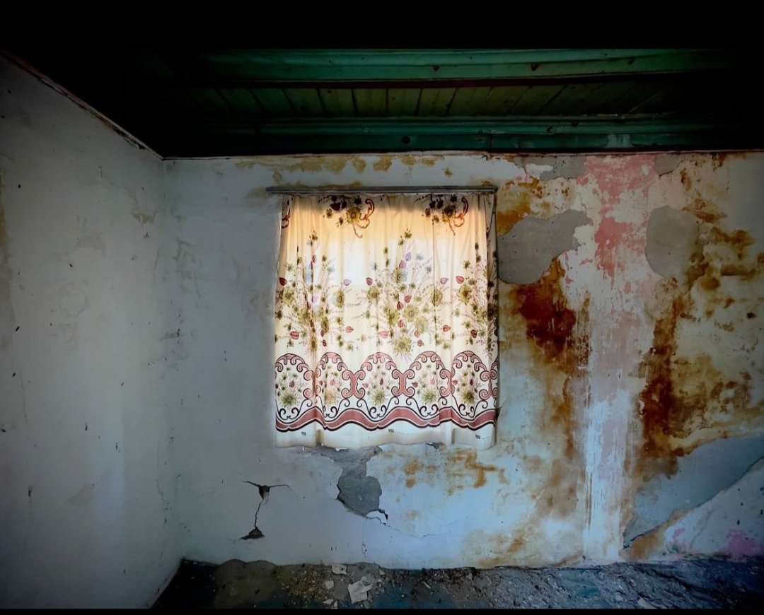 📷 Ebru Ceylan

"dünyada çok önemli şeyler oldu
ama ben de sizin eve baktım"

Seyyidhan Kömürcü