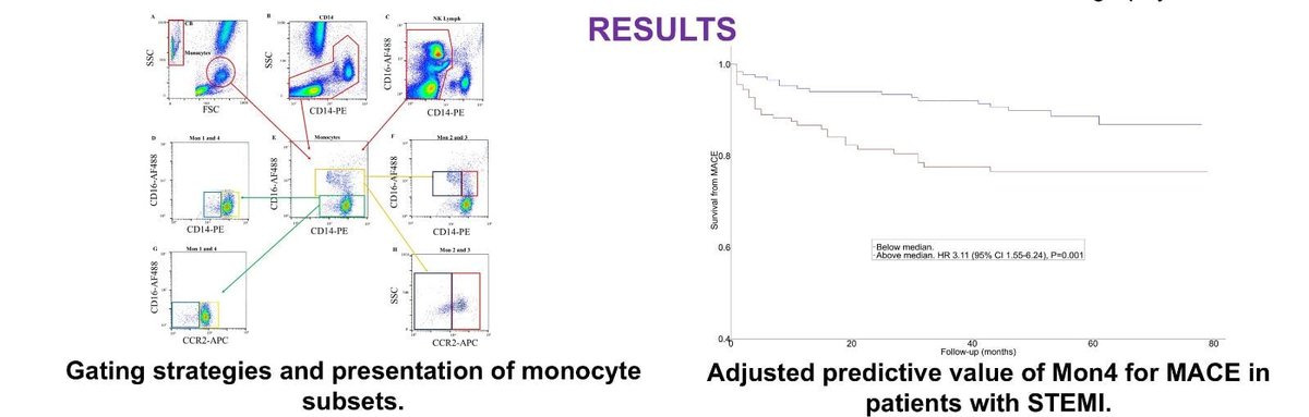 Our new publication, in the Journal of Thrombosis and Thrombolysis.

We highlighted the existence of a new monocyte subset in healthy individuals with a clinical association with risk of MACE in individuals with STEMI.
<a href="/McrInstSport/">Manchester Met Institute of Sport</a> 
<a href="/LiverpoolCCS/">Liverpool Centre for Cardiovascular Science</a>
