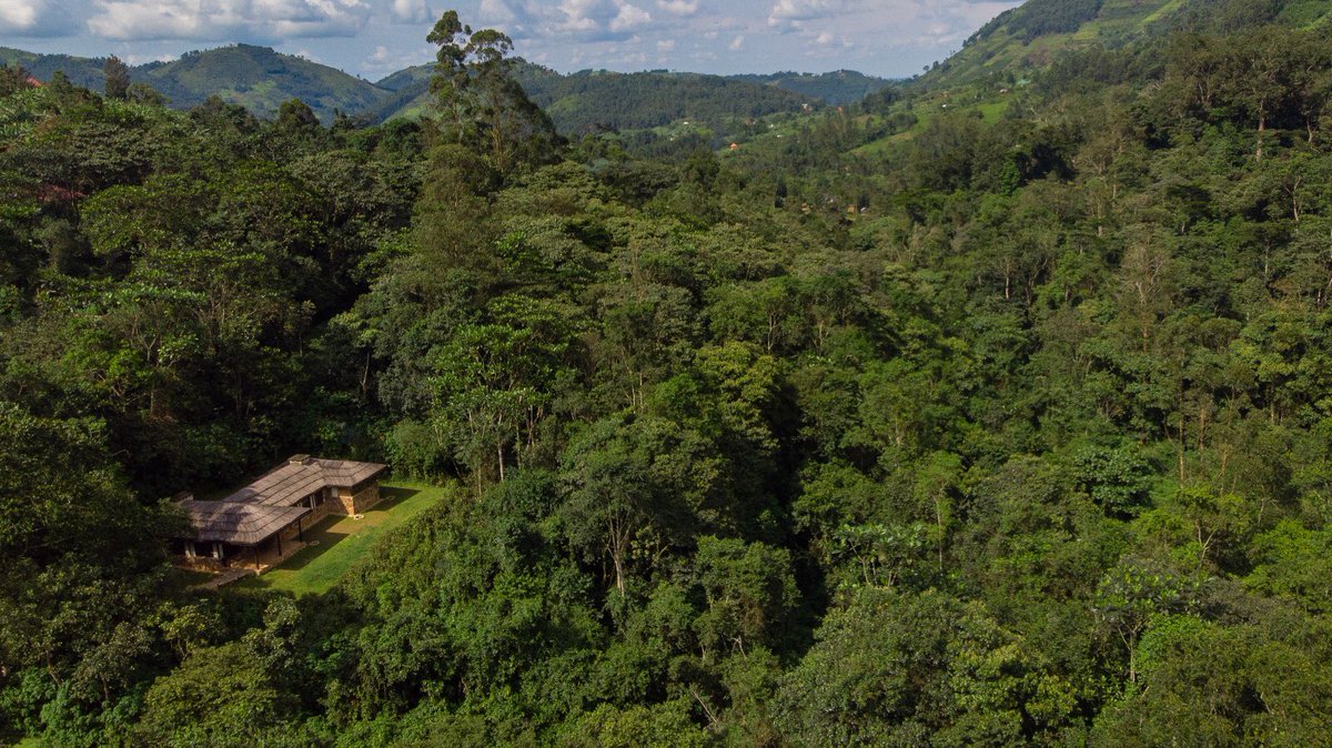 Volcanoes Safaris is thrilled to announce that Bwindi Lodge has been included in the 2025 Travel + Leisure 500 List, highlighting the best hotels worldwide. We are honored to receive this recognition as we celebrate the 25th anniversary of Bwindi Lodge.
travelandleisure.com/top-500-hotels…