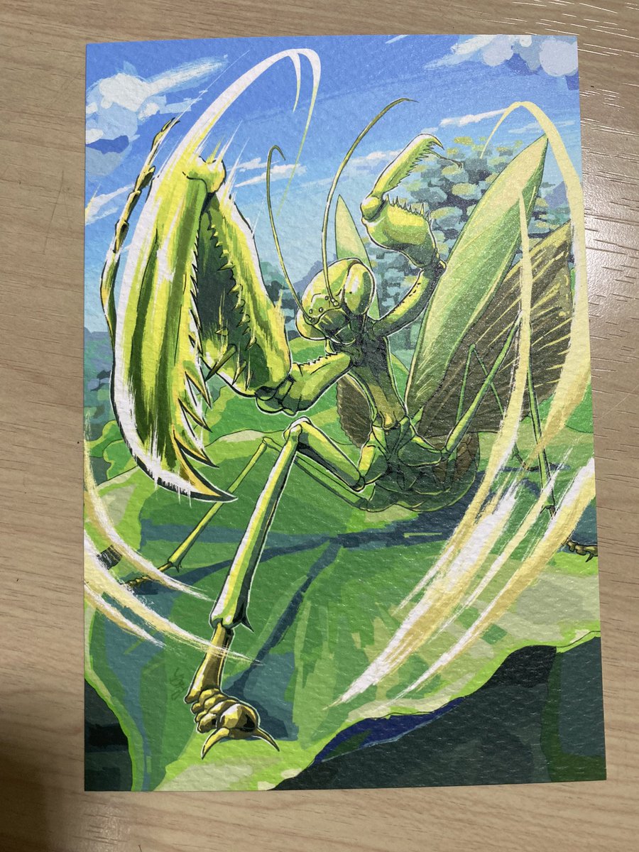 【商品宣伝】
6/7、8に吹上ホールにて開催される博物マニアで、以前描いたカマキリのイラストのポストカードを販売します！！
欲しい人はぜひ遊びにきてくれ〜！！
#博物マニア