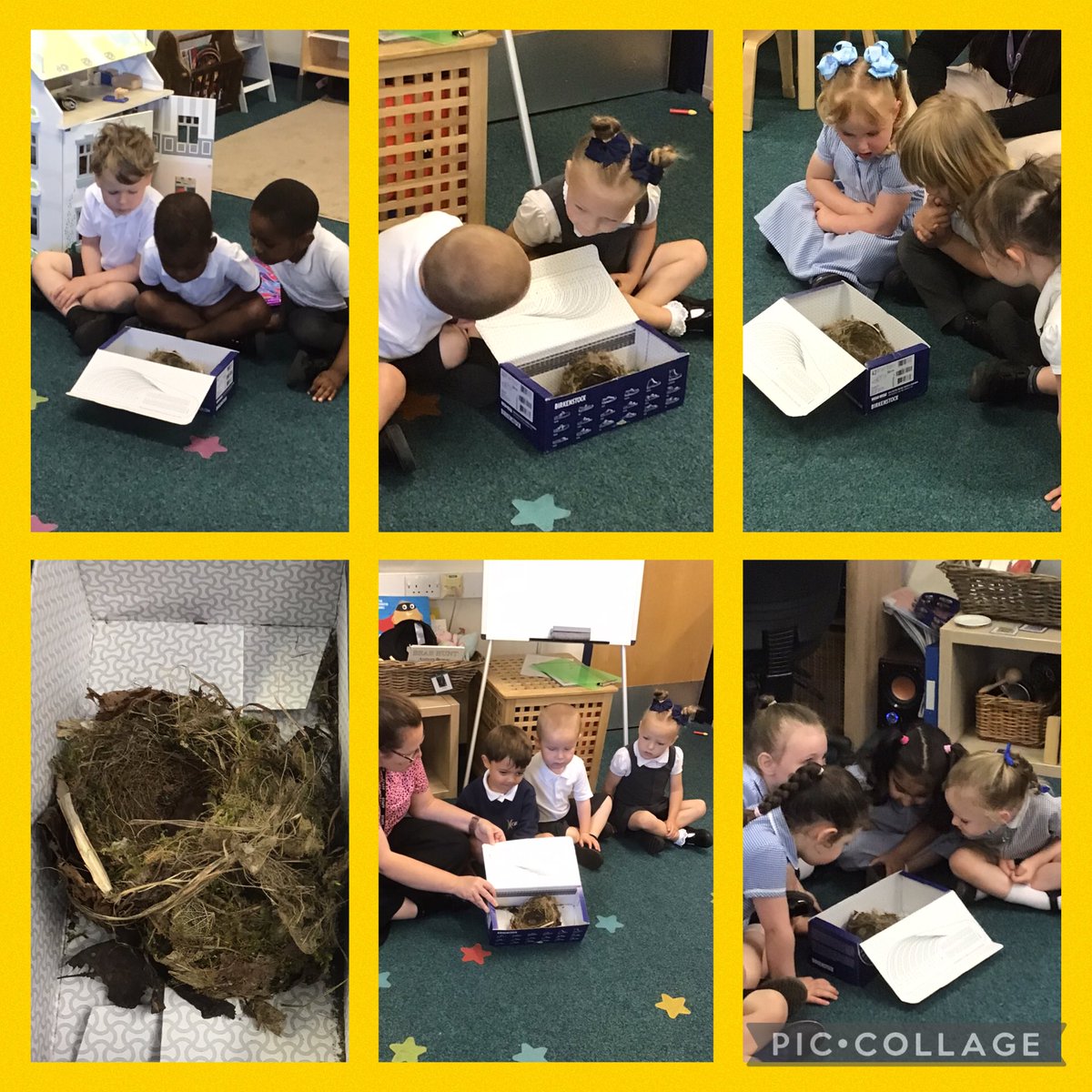 Nursery had a wonderful surprise this morning from a friend. We made some predictions and we were excited to find a nest that was made in Nannies bucket. We even sang ‘two little dicky birds’ Xx. #GrangeScience #outdoorlearning <a href="/GrangeMrsMcG/">Mrs McGilloway</a> <a href="/GrangeMissA/">GrangeMissA</a> <a href="/GrangeMissWri/">MissWright</a>