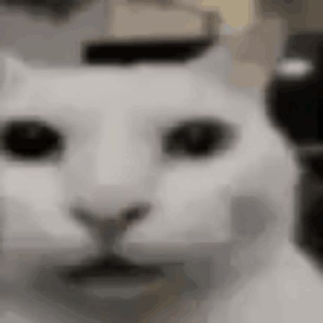 shiningauroraaa's tweet photo. @allerhysse @confessfornikki HELP ?????????????????????

whod tell them paper fucked them up and led me to Roblox game addictions https://t.co/t2ljGBDiGF