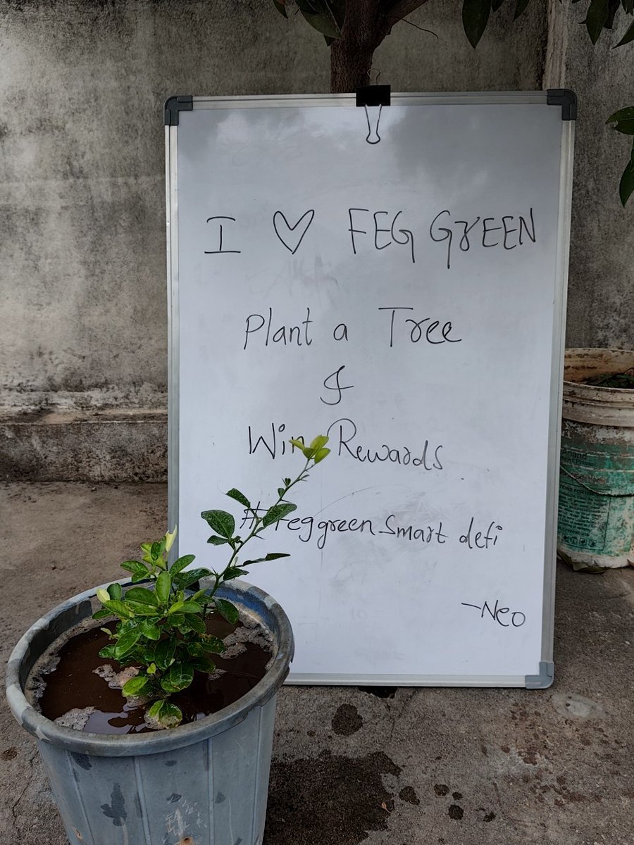 Proud to see our #FegGreen community growing strong! these amazing efforts—planting trees, spreading love, and supporting our FEGG mission to "Plant to Earn." 💚 Let’s keep saving nature together! What do you think of their creativity? 🌳 #PlantToEarn #SmartDeFi