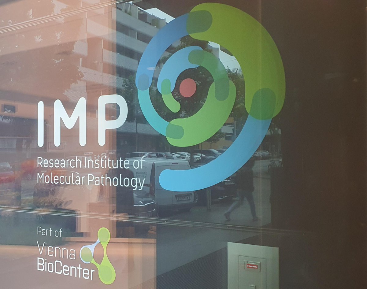 ImmaginaBiotech's tweet image. That’s a wrap on the 19th Microsymposium on RNA Biology in Vienna! 🧬✨ @IMBA_Vienna
Big thanks to all who stopped by—and congrats to Anastasia Polikarpova, winner of our quiz prize and proud new owner of an Immagina backpack! 🎒
#RNA #MicrosymposiumRNA #RiboSeq