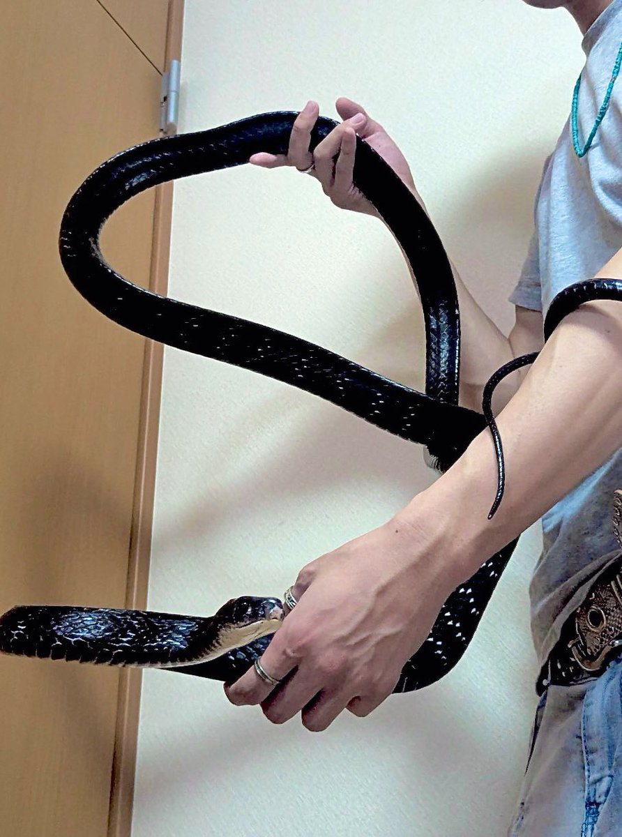 snake_parman's tweet image. 大過山刀