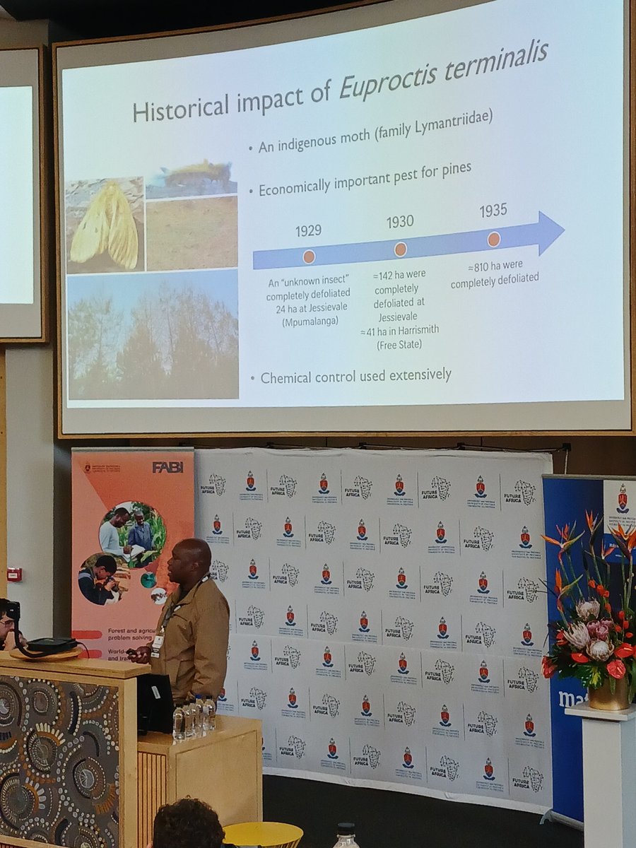 Dr Privilege Makunde, postdoctoral fellow at #FABI, discusses local biocontrol approaches of Euproctis terminalis, the pine brown tail moth. 🦋
#TPCP2025 #TreeHealth #Biocontrol #Forestry