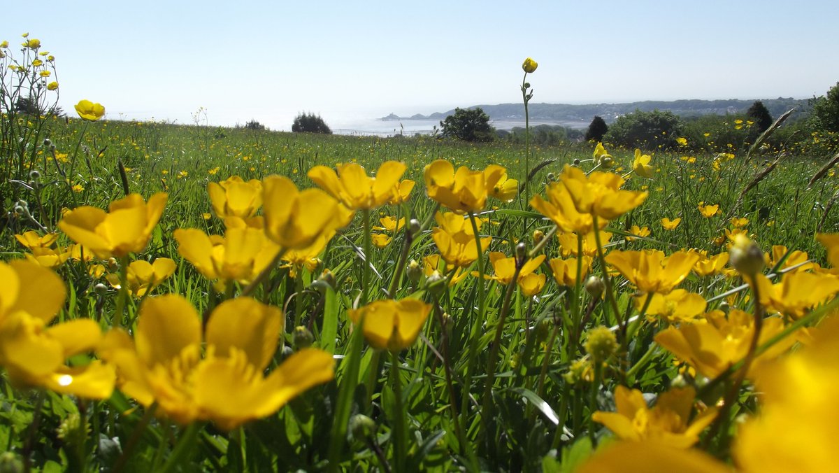🌼Who agrees that Spring is the most beautiful season🙋‍♀️Although, our view looks wonderful year round. Come to the farm and see for yourself! Book a stay or some activities with us today!

#BestView #Spring #SpringFlowers #ClyneFarmCentre #SelfCatering #Swansea #Wales