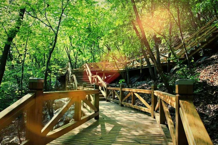 MichelleAn76082's tweet image. . @soon_svm #SOONISTHEREDPILL Fogo#SOON carefully - designed consensus ensures network harmony. #Fogo #NetworkHarmony🙃🤪