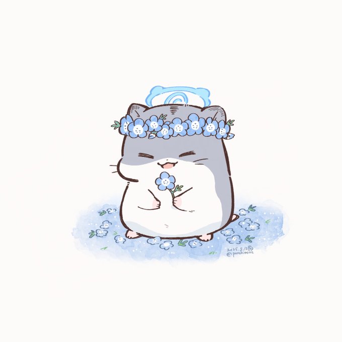 生写真 山本彩 グラビア スクール水着a