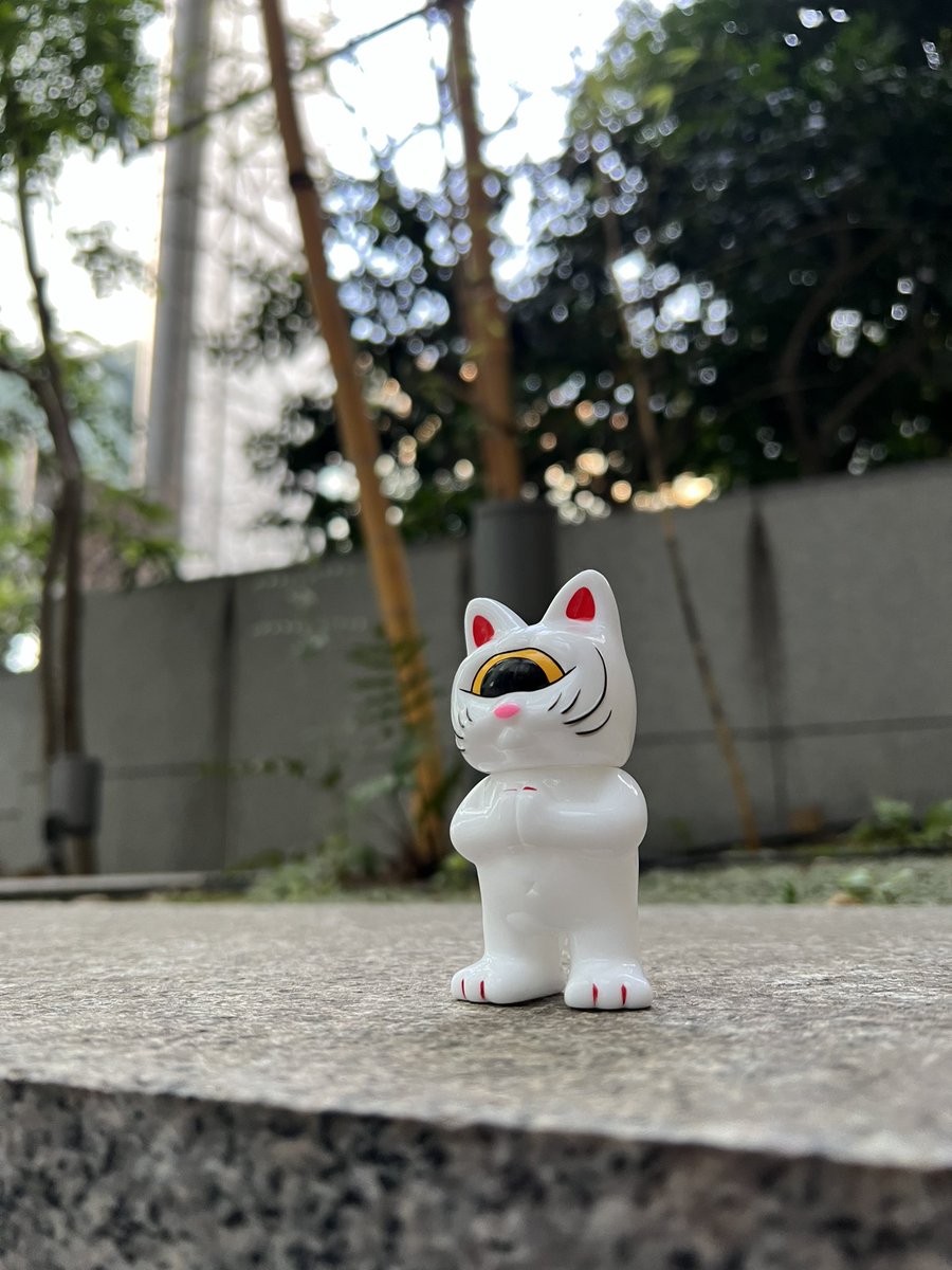 kindfk1's tweet image. 今日は暑い🫠

#真頭玩具
#リアルヘッド 
#catstream
#猫ストリーム